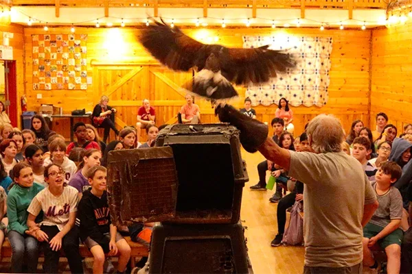 Birds of Prey (Evening Program)