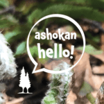Ashokan Hello (episode 7)