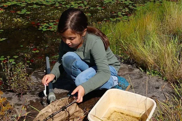 Pond & Stream Investigations