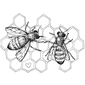 Bees & Beekeeping Workshop