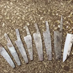 Ashokan Blade Seminar