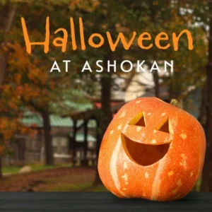 Halloween 2022