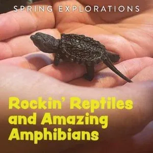 Spring Explorations – Rockin’ Reptiles and Amazing Amphibians