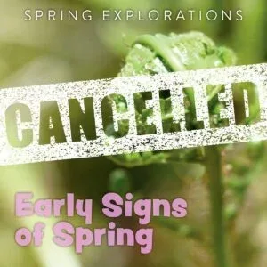 Spring Explorations - Early Signs of Spring