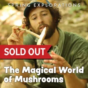 Spring Explorations - The Magical World of Mushrooms