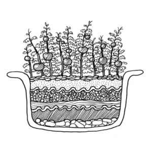 Skillshare: "Lasagna" Gardening