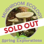 Spring Explorations – Mushroom Ecology Hike 2025