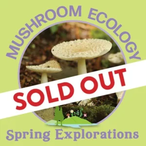 Spring Explorations - Mushroom Ecology 2024