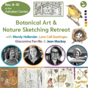 Botanical Art & Nature Sketching Retreat 2024