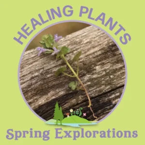 Spring Explorations - Healing Plants 2024