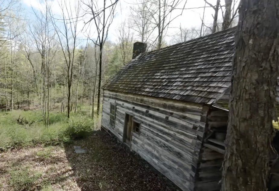 Pardon our Progress: Our Homestead is being restored.