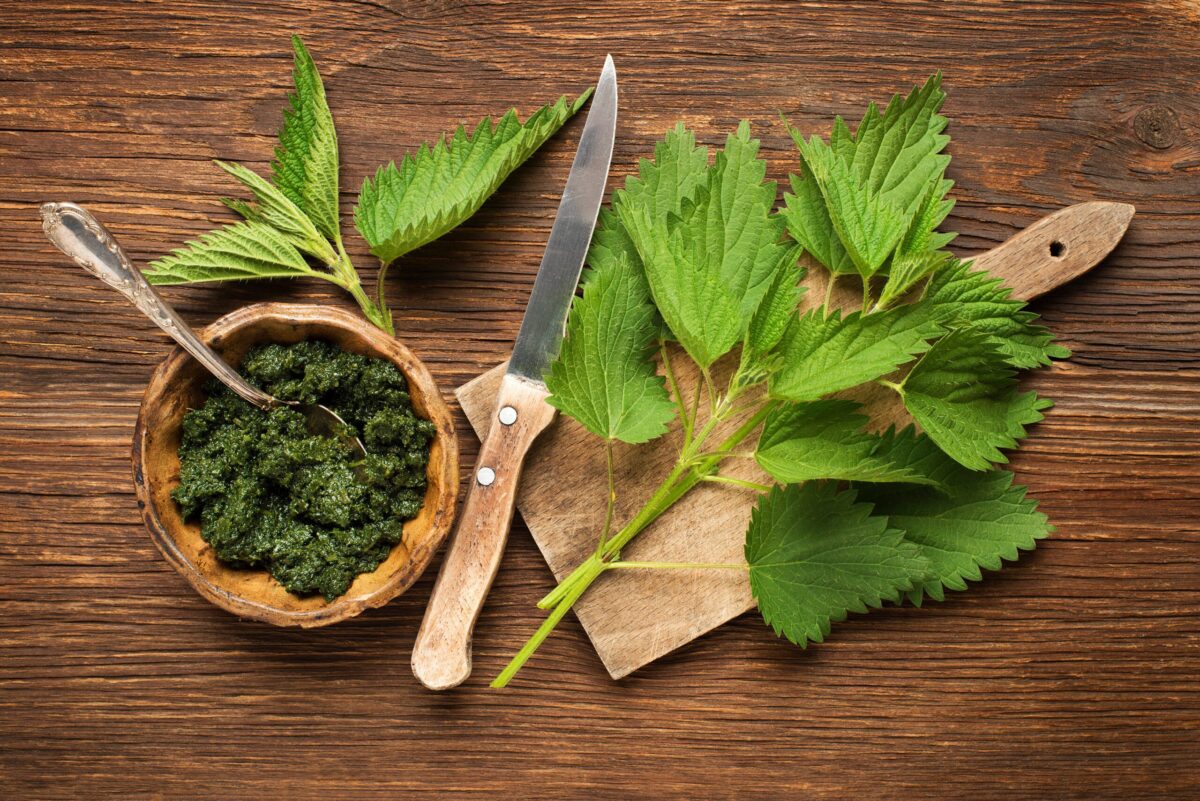 Nettle Pesto by Liz Neves