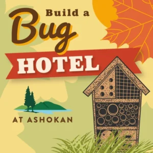 Build a Bug Hotel