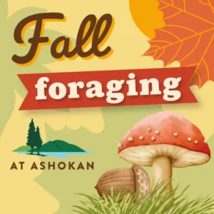 Fall Foraging Workshop