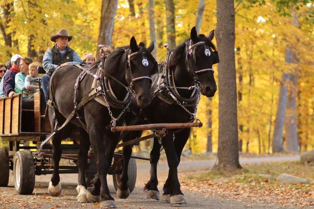 Fall Family Fun Fest Returns!