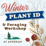 Winter Plant ID & Foraging Workshop