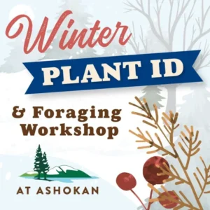 Winter Plant ID & Foraging Workshop
