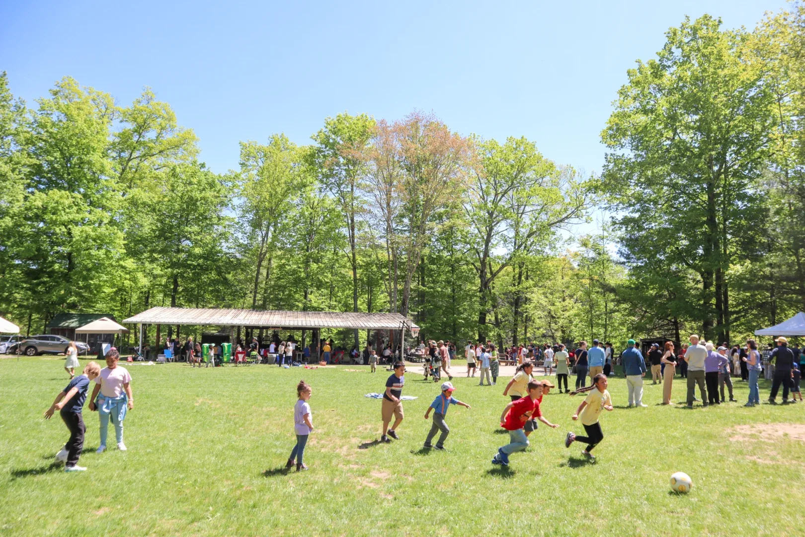 Powering Possibilities: Central Hudson Supports Ashokan Center with $10,000 Gift