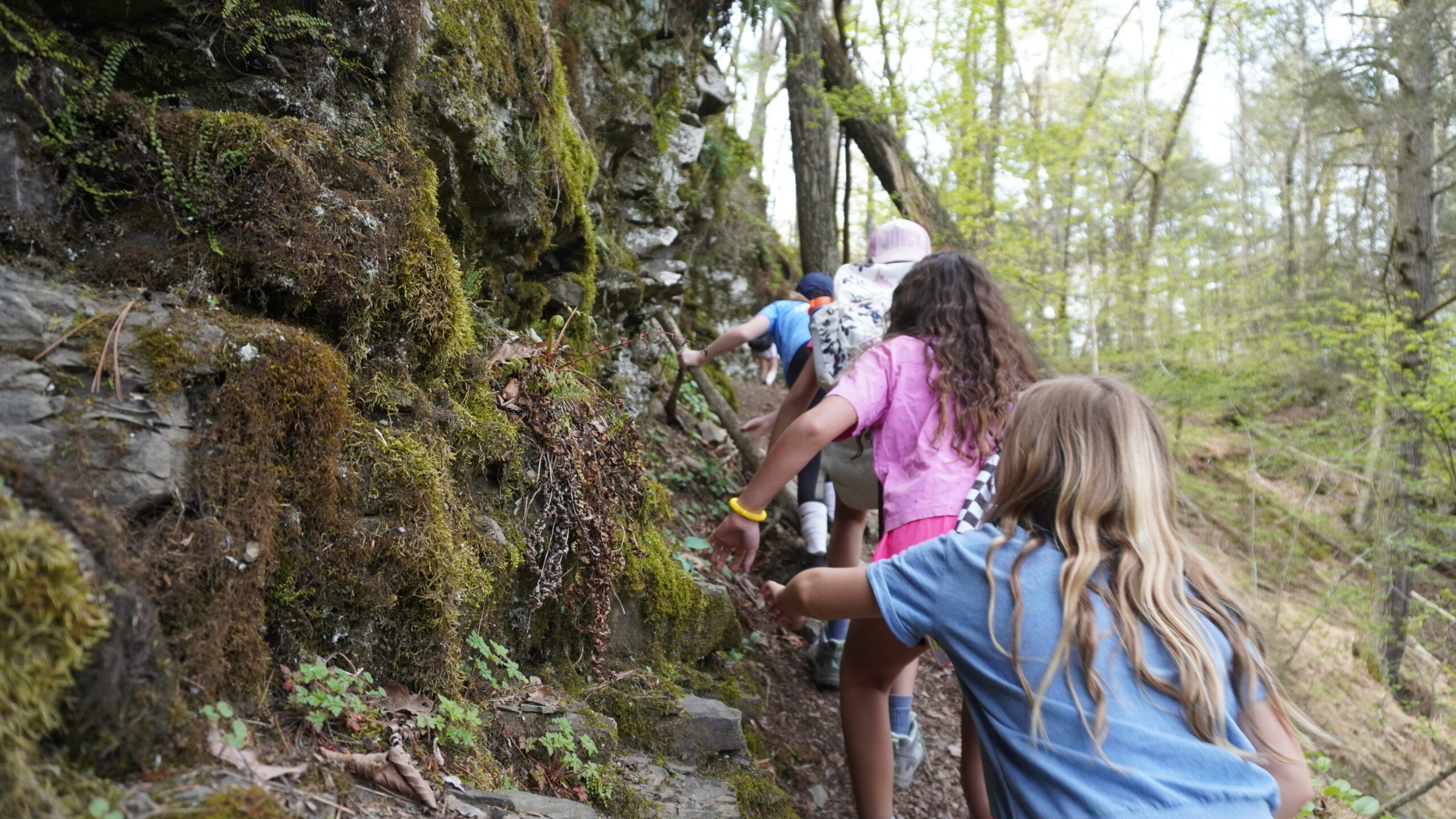 Trail Work with Heart: Jolly Rovers at Ashokan
