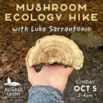 Fall Explorations – Mushroom Ecology Hike 2025