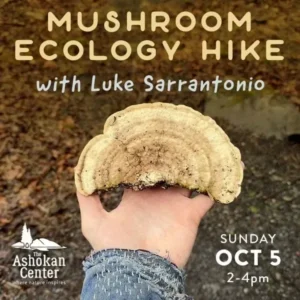 Mushroom Ecology Hike - Luke Sarrantonio