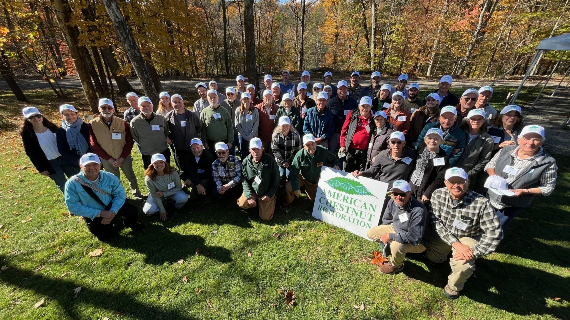 Chestnuts Not Just for Roasting on an Open Fire | Restoration Efforts Take Root at the Ashokan Center