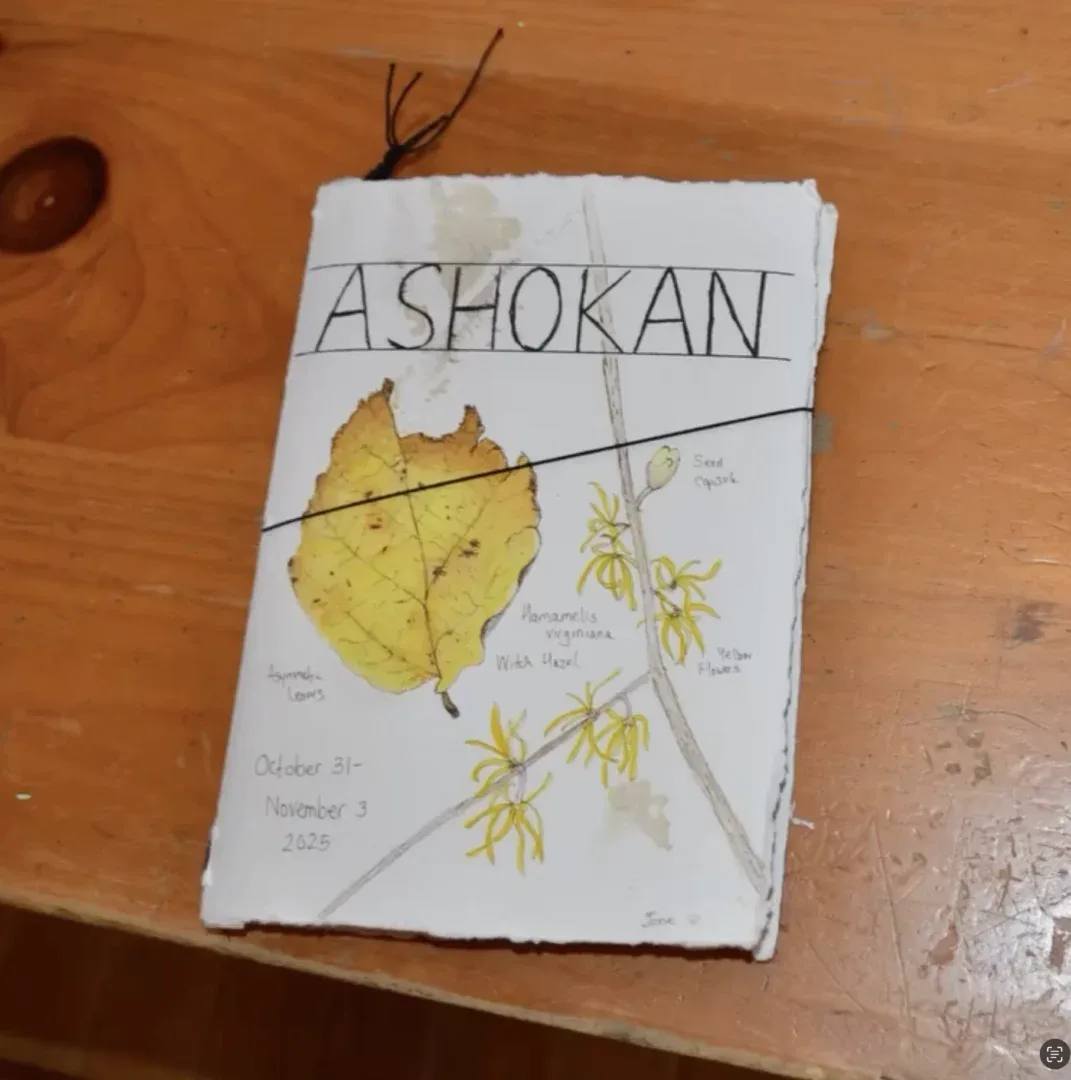 Draw Botanical Retreat Blossoms at the Ashokan Center