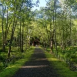 Weekend Wellness Retreat: Finding the Transformational Thread