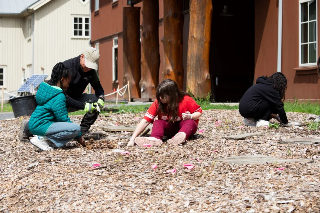 Planting for the Future: A Month of Pollinator Work at the Ashokan Center